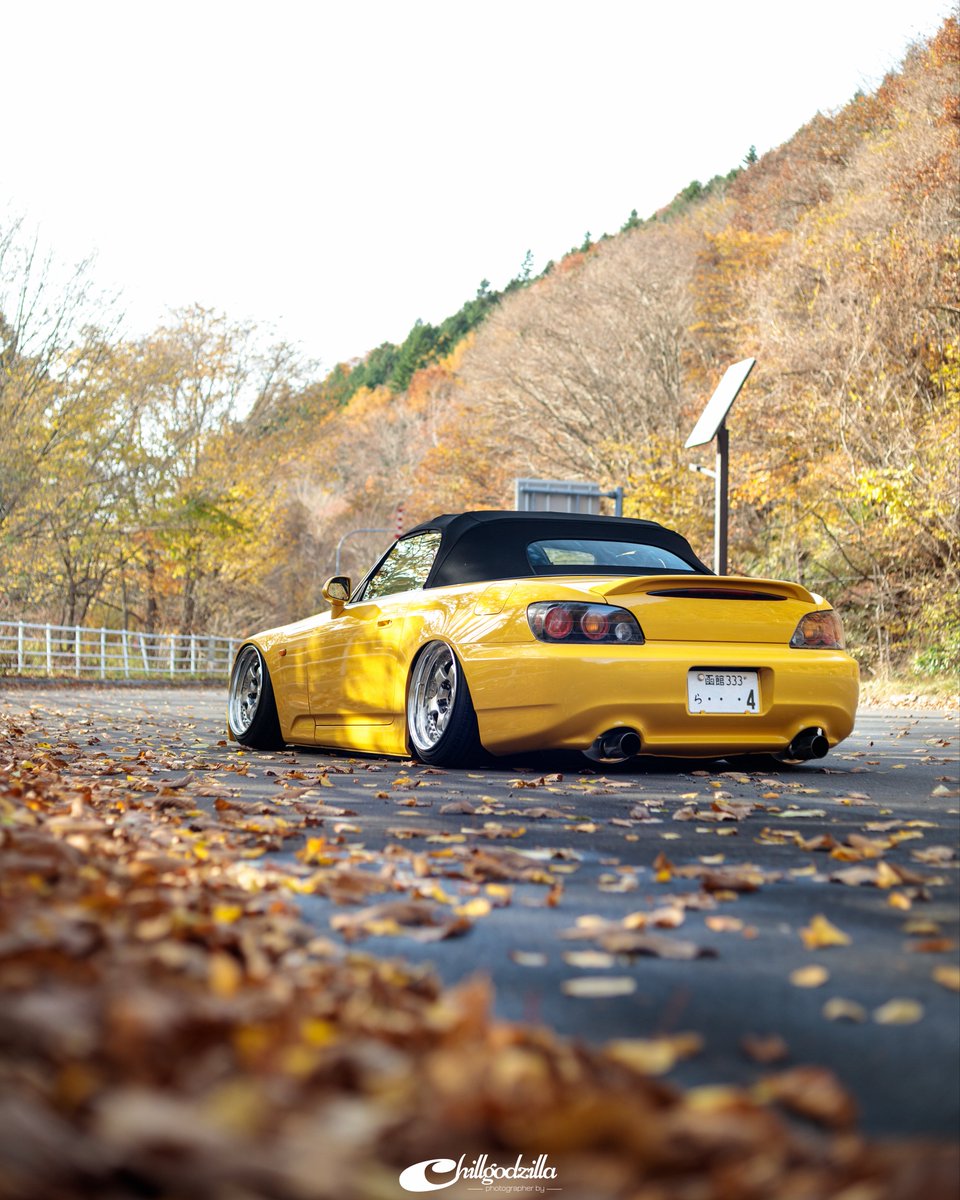 Yushi-Matsui tweet media