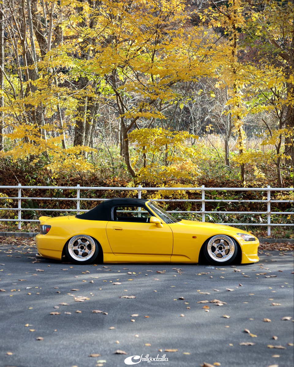 Yushi-Matsui tweet media