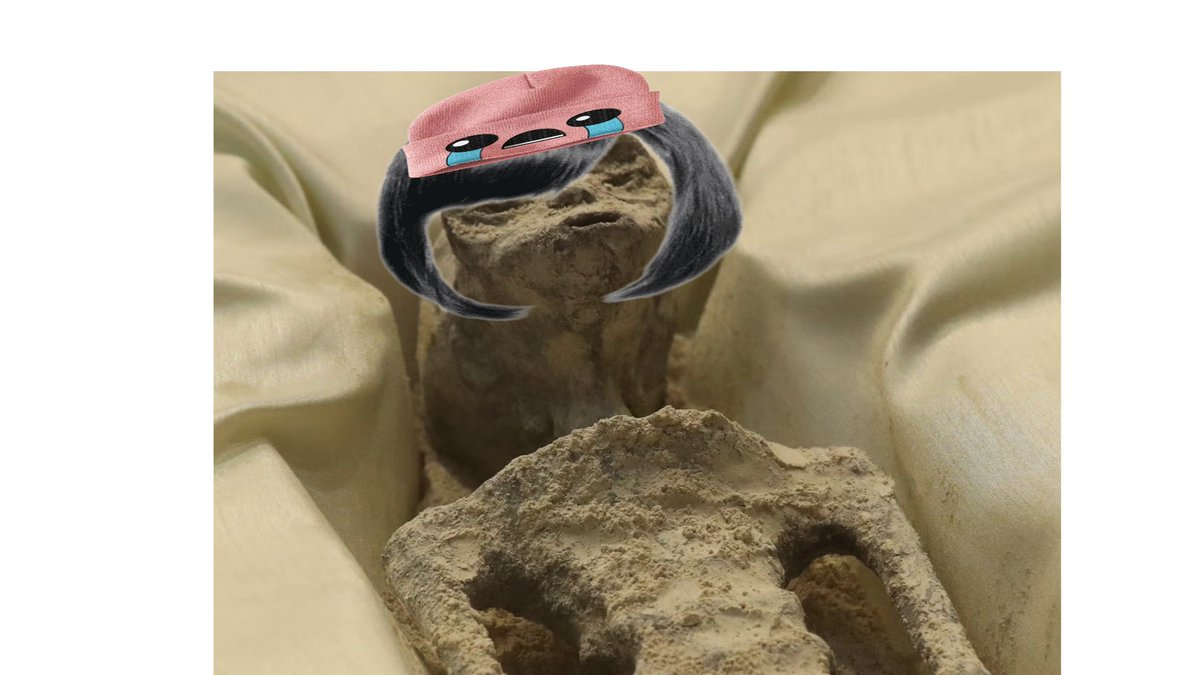 navy_paranoid tweet media