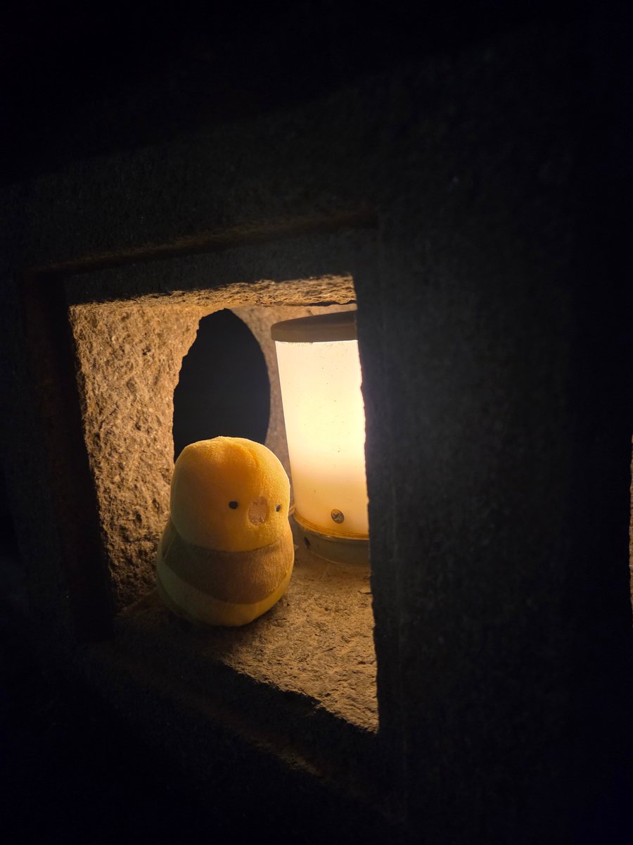 うさ耳//ぼんたや tweet media