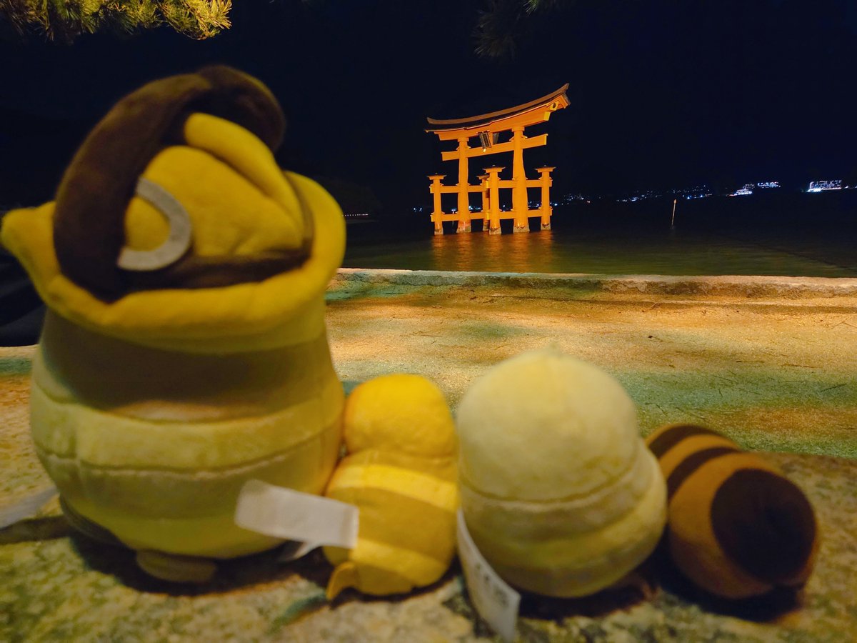 うさ耳//ぼんたや tweet media