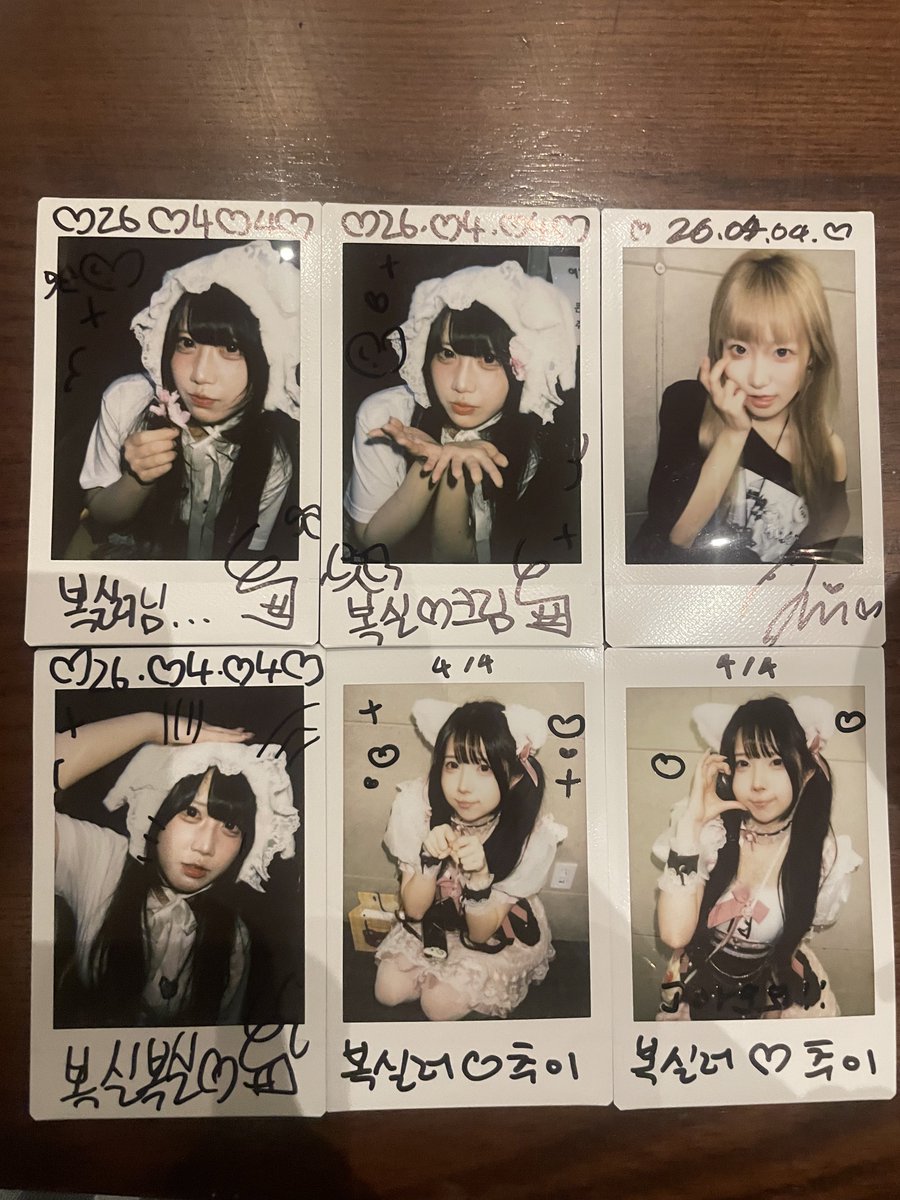 복실러 tweet media