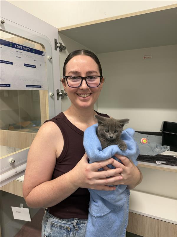 lortsmith tweet media