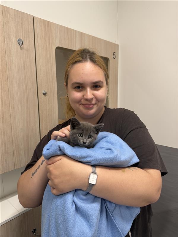 lortsmith tweet media