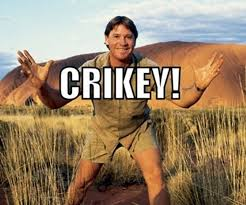 JorekGrimson tweet media