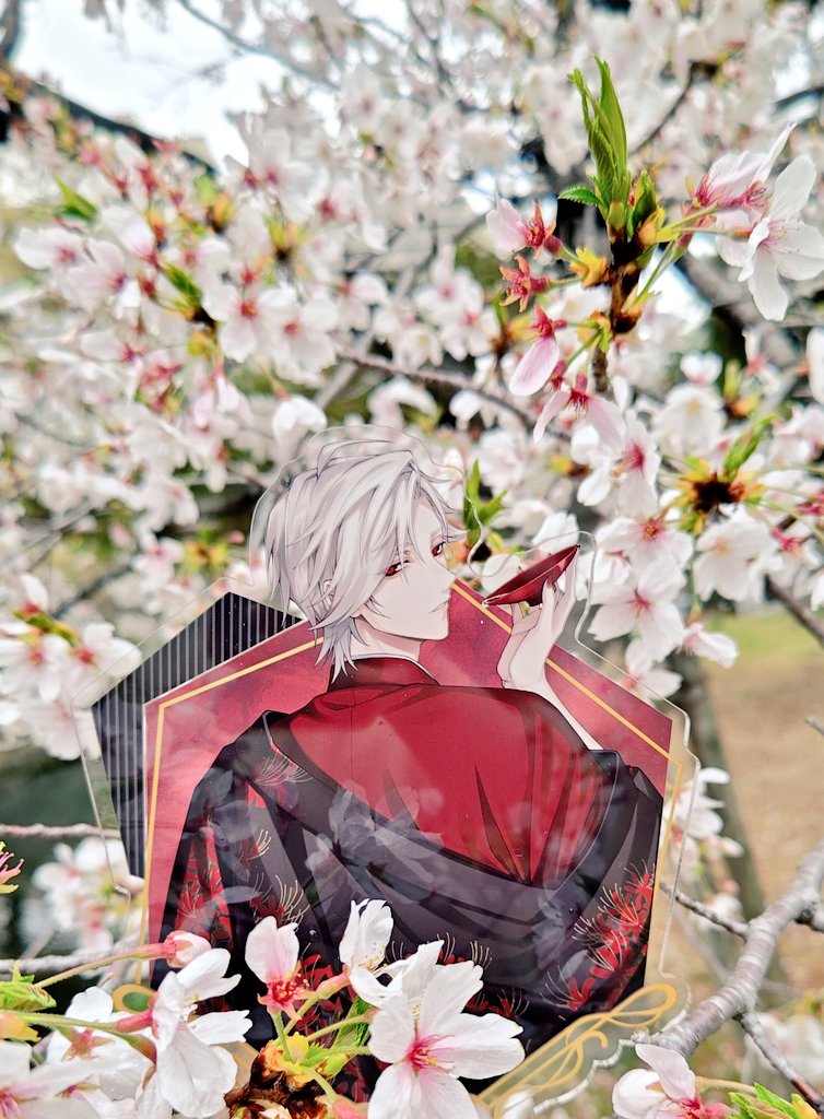 チェリ🍒 tweet media