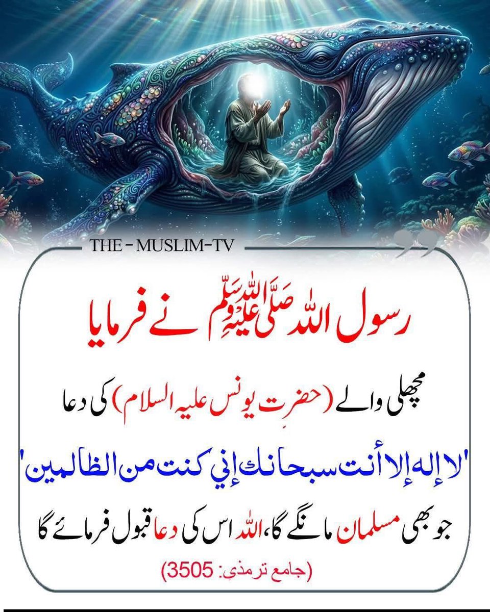HS0fficial's tweet photo. رسول اللّٰه ﷺ نے فرمایا : https://t.co/M8z6fmRlT1