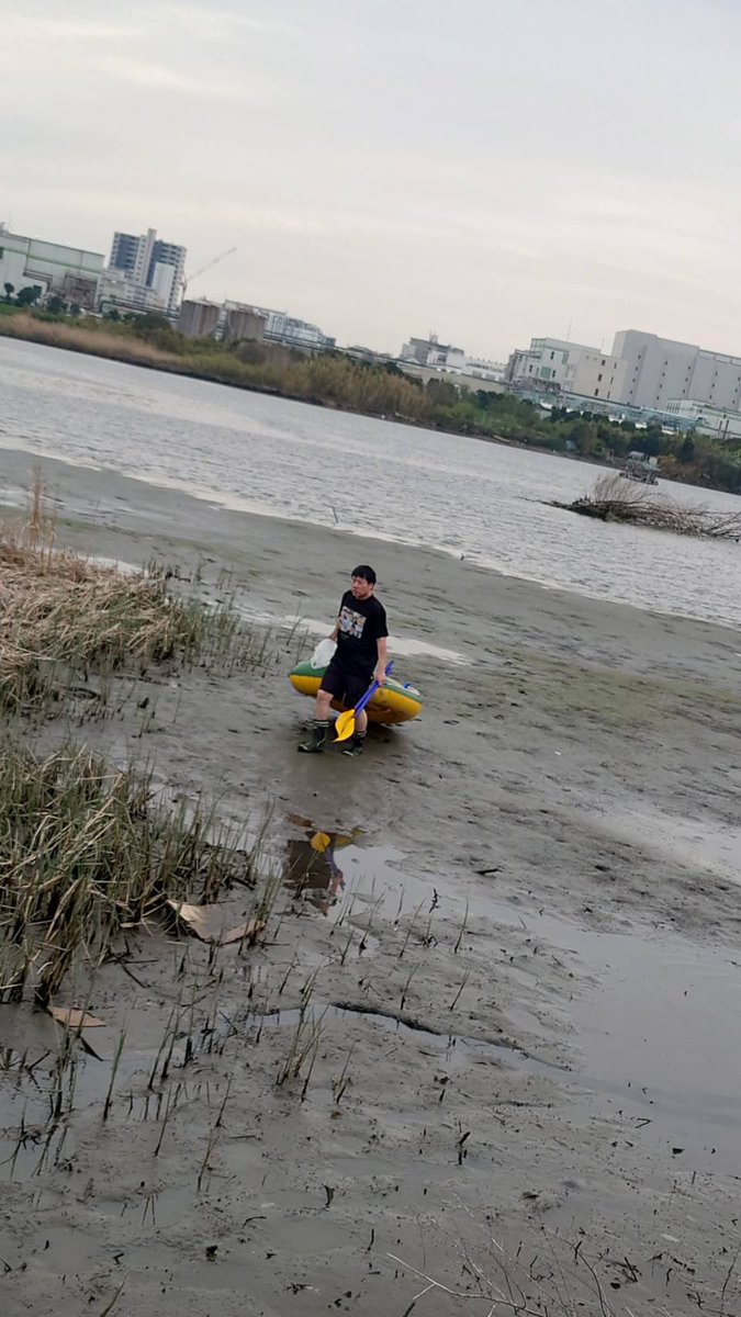 横山緑（本物） tweet media