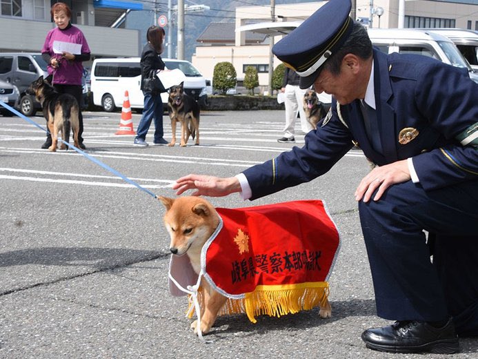 もやし tweet media