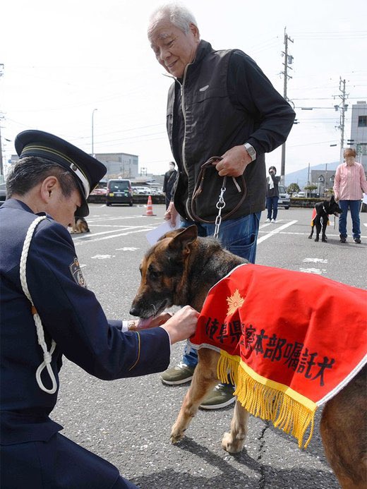 もやし tweet media