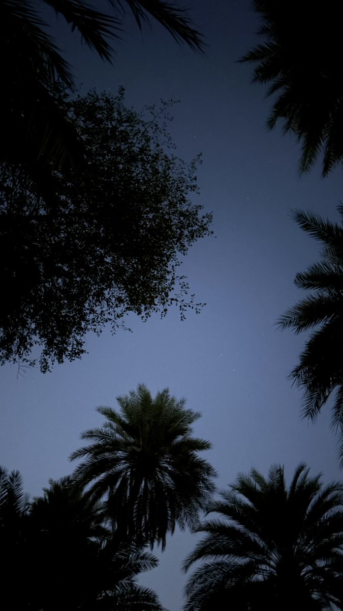 MariaSaab0's tweet photo. هل فرشت العُشبَ ليلاً وتلحّفتَ الفضاء
زاهداً في ما سيأتي ناسياً ما قد مضى؟ https://t.co/Jm5SOUxfmb