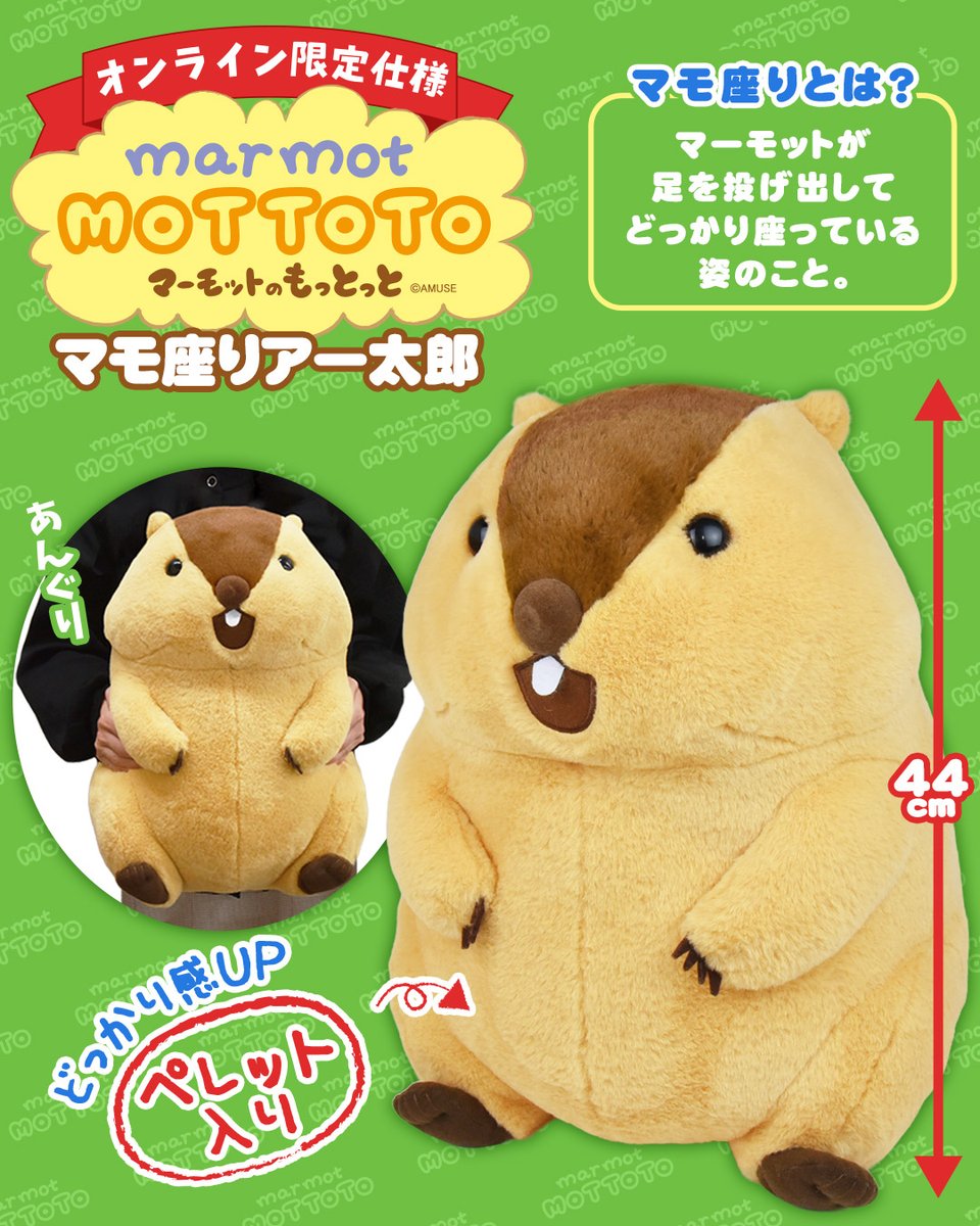 RT @AMUFUN_online: ／ 本日、お迎え解禁📢 ＼ 『マーモットのもっとっ