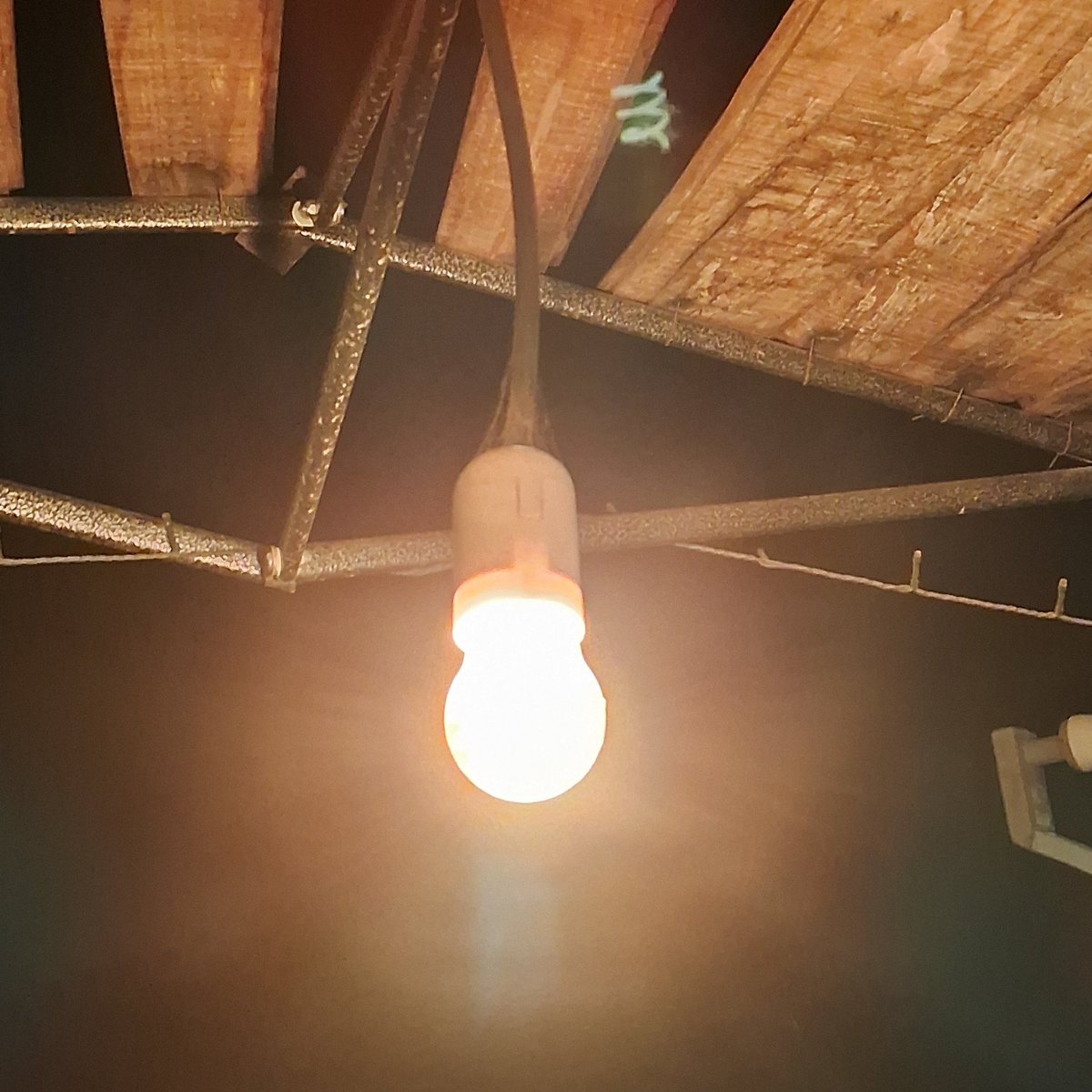 ChicoSacer tweet media