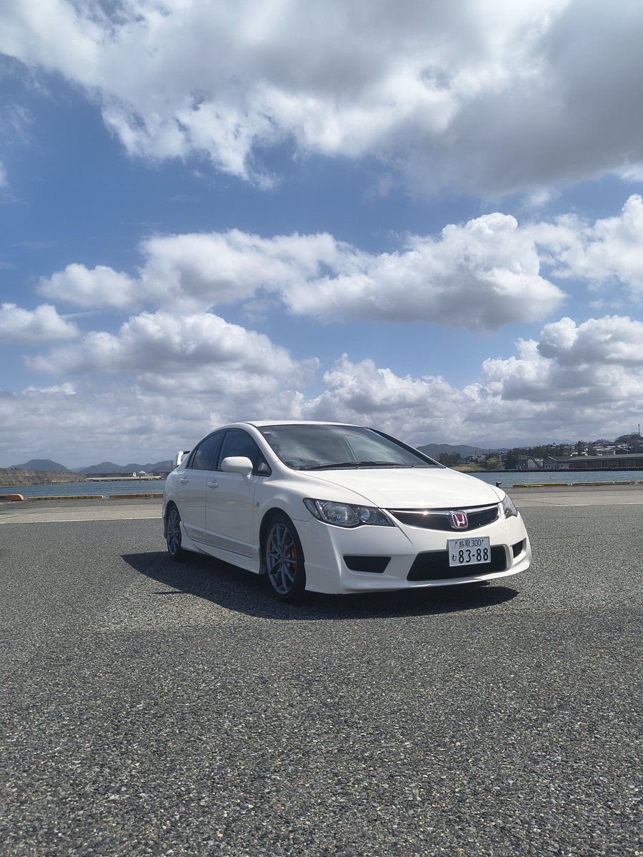 タヌさんですよ tweet media