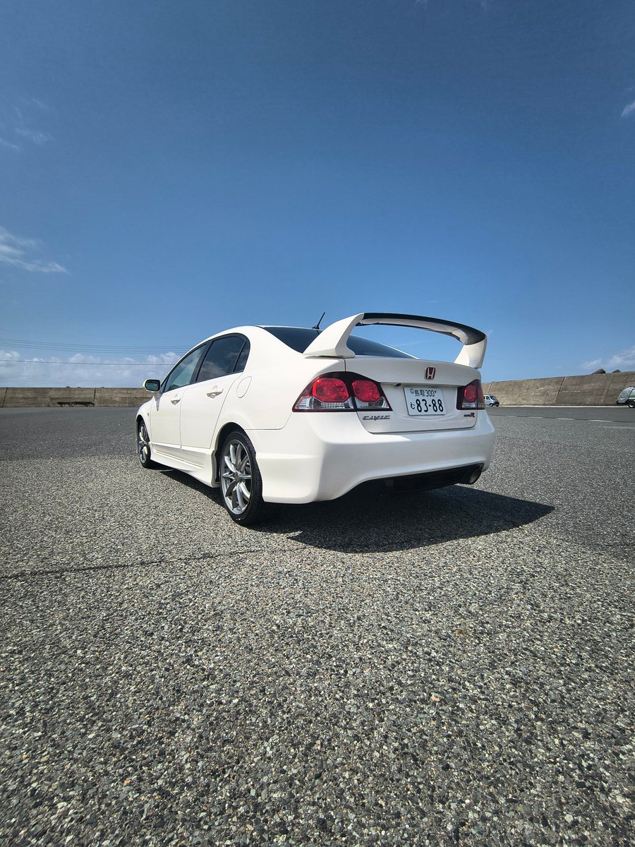 タヌさんですよ tweet media