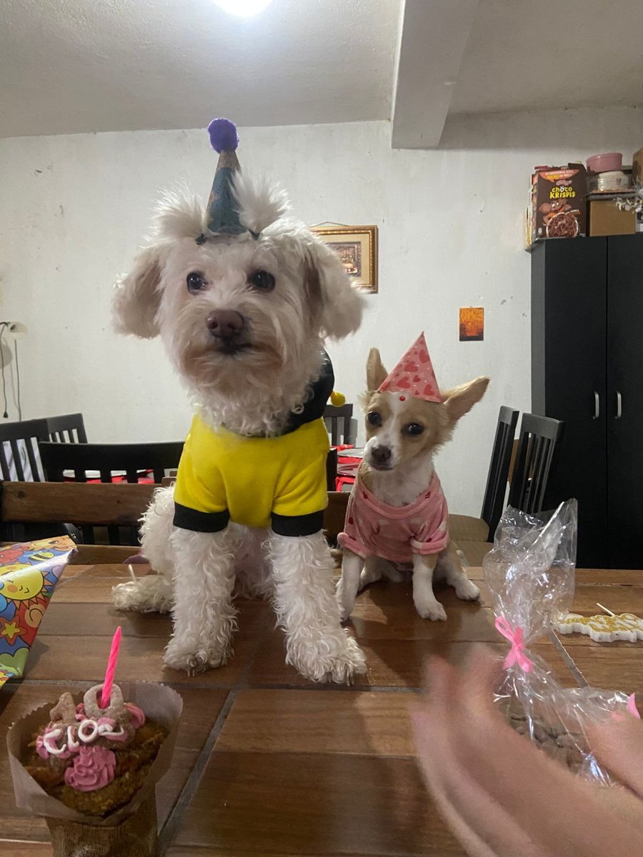 juarezag__ tweet media