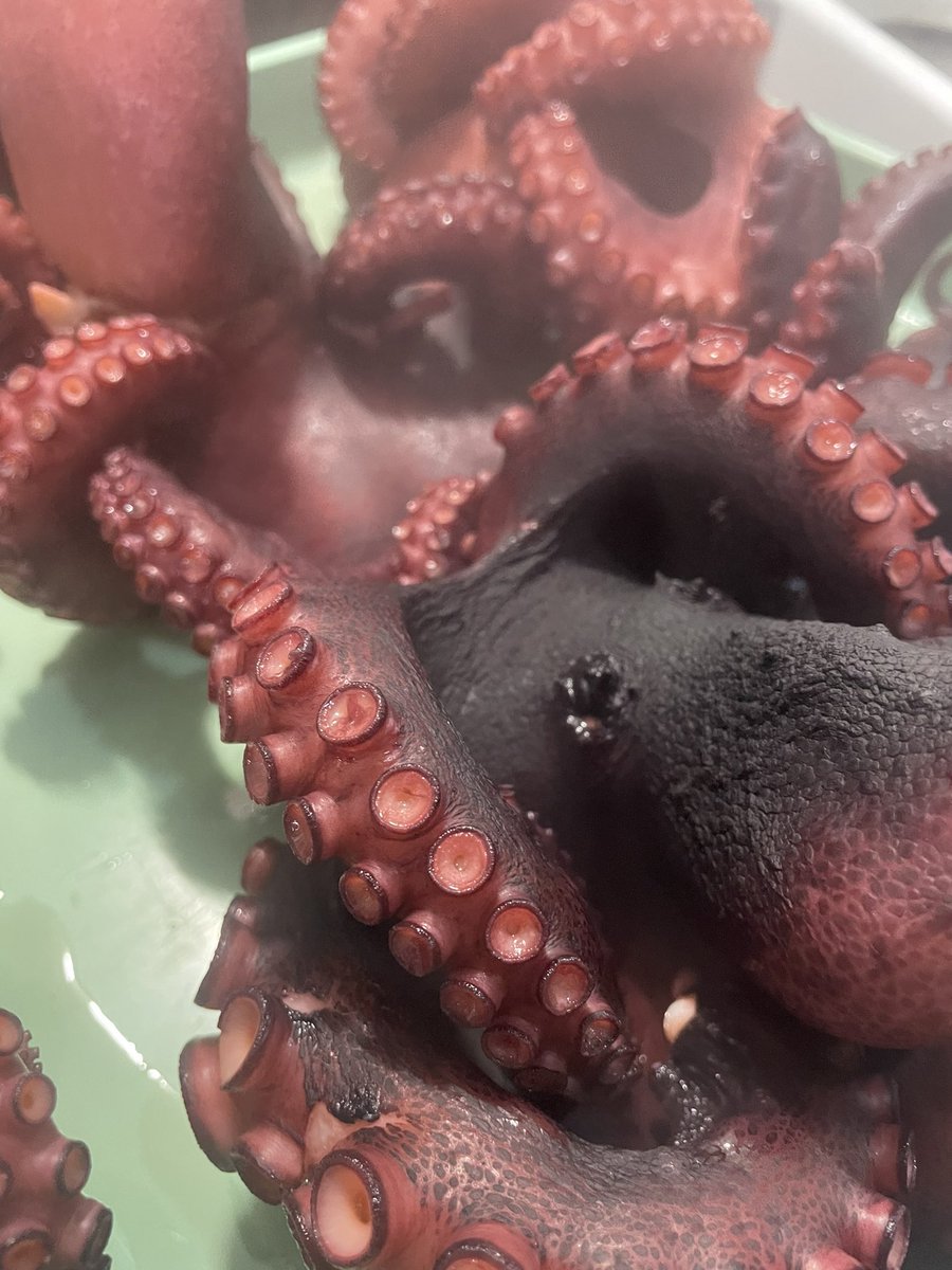 ちりめん工房ジャコデス tweet media