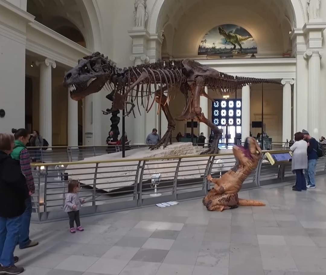 𝙎𝙐𝘽-𝙈𝘼𝙍𝙄𝙉𝙀𝙍 tweet media