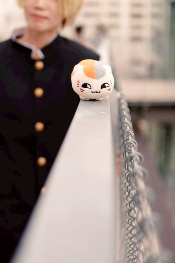 ぱせり tweet media