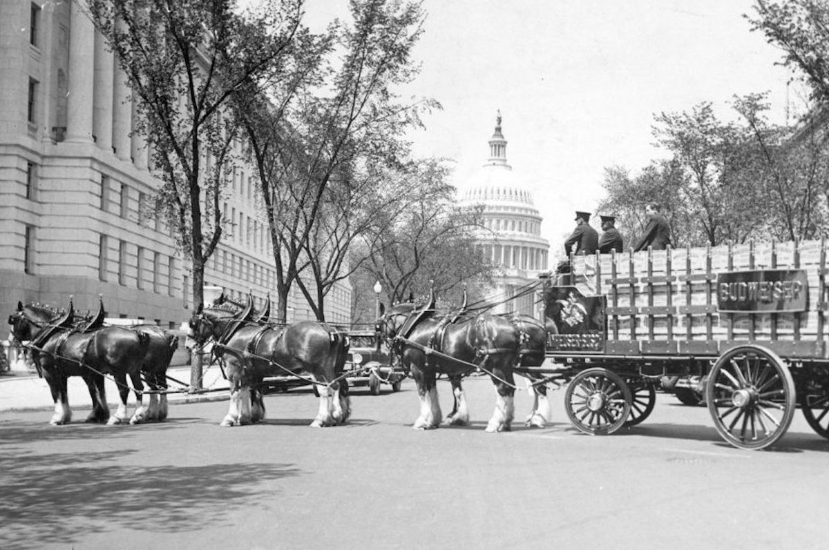 Augie Nash tweet media