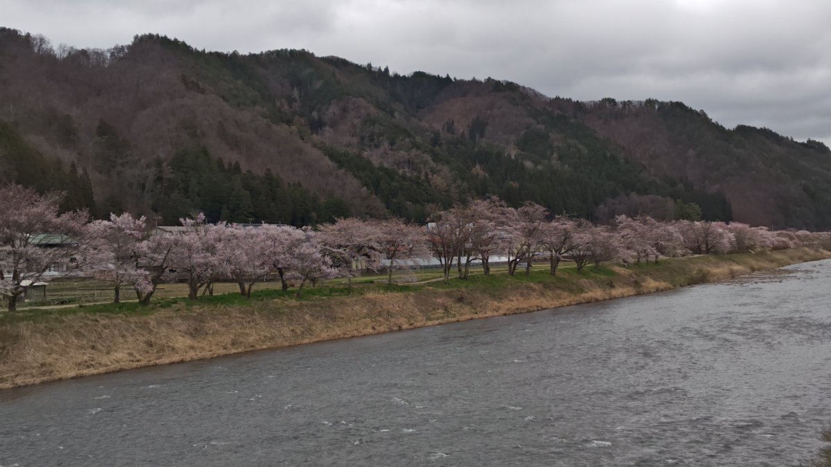 わかだんなえみり tweet media