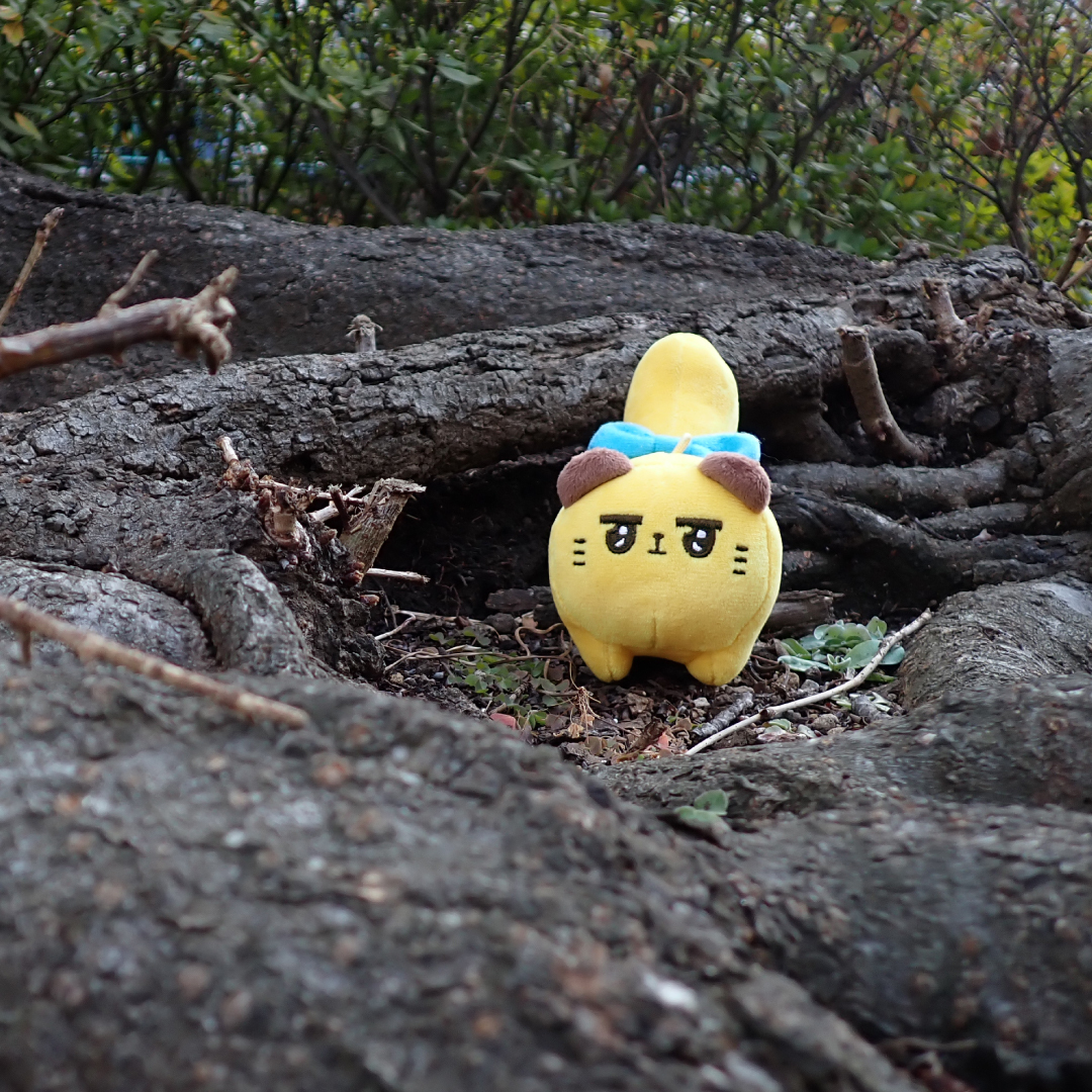 東京ばにゃ奈 tweet media