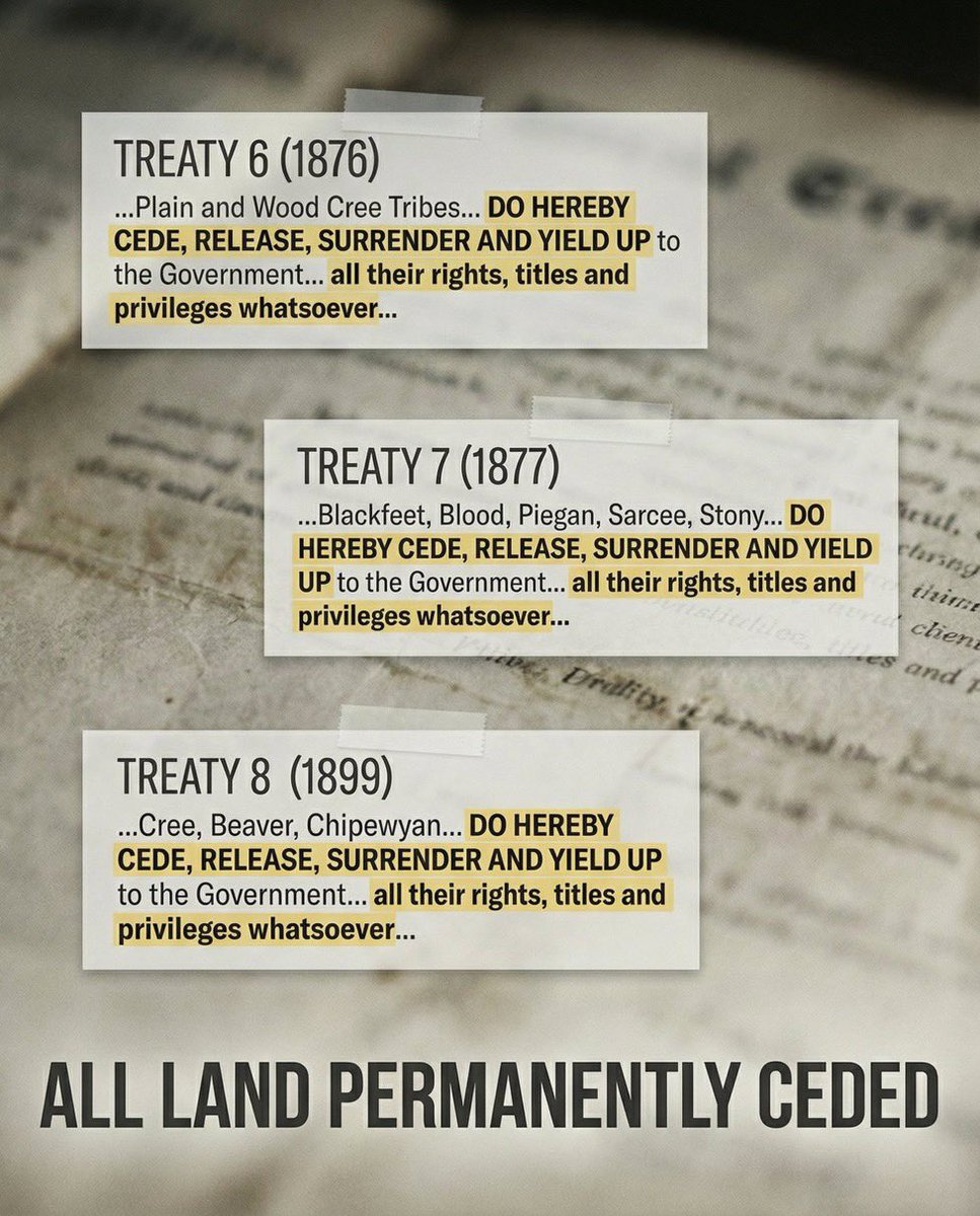 Rise Of Alberta tweet media