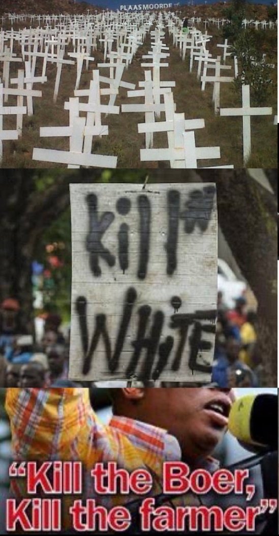 Gordon G. tweet media