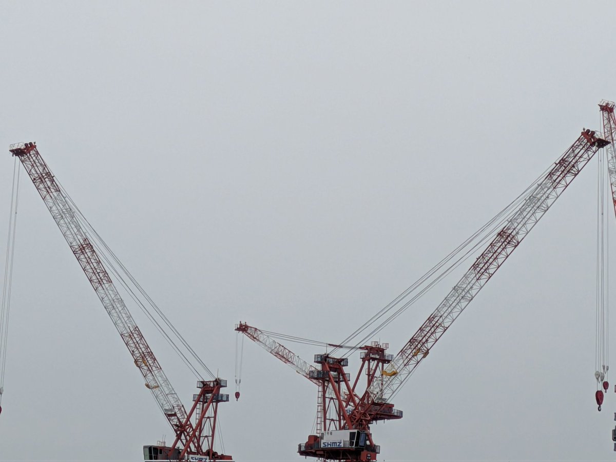 瑞雲ziun ELD55 tweet media