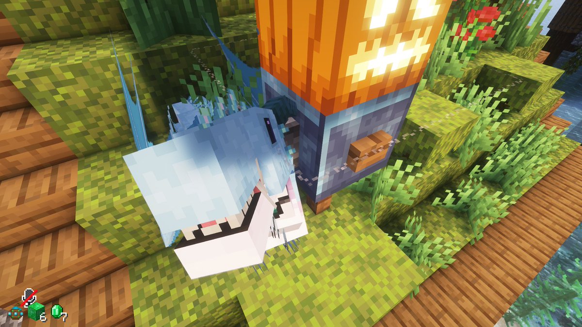 SoRa🌃Ⓒ tweet media