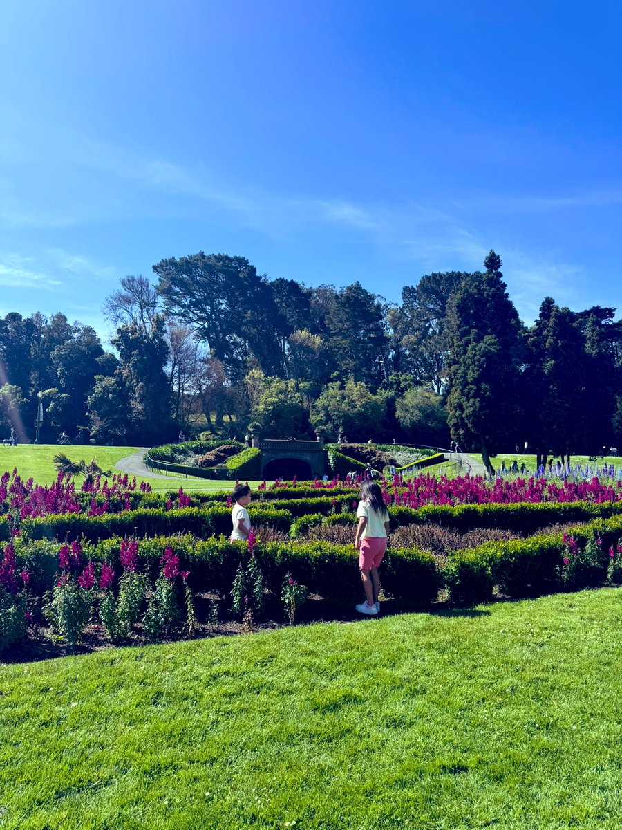 Н.Оюунчимэг tweet media