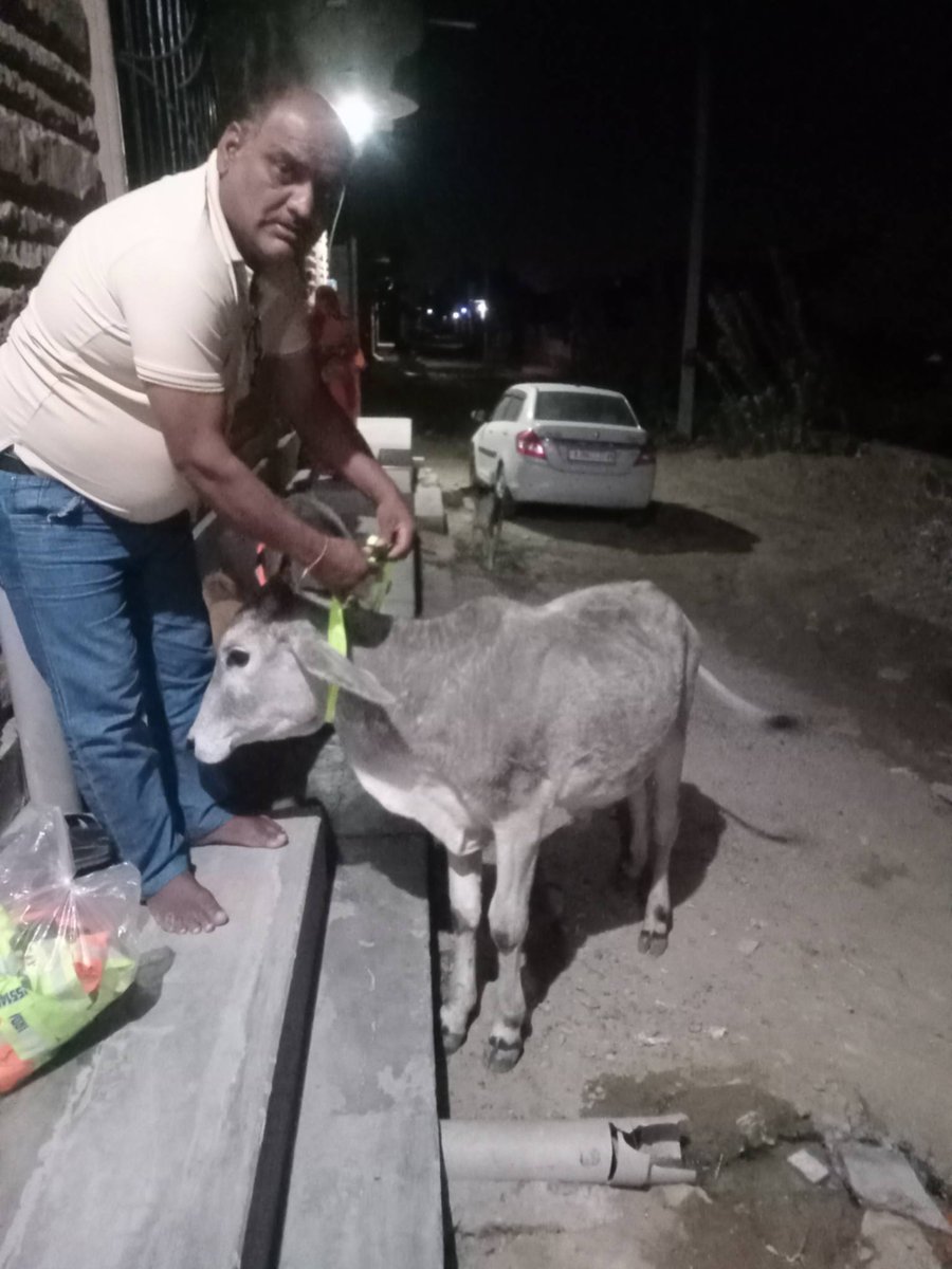 Mahendra Singh Taratra tweet media