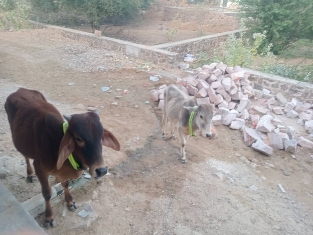 Mahendra Singh Taratra tweet media