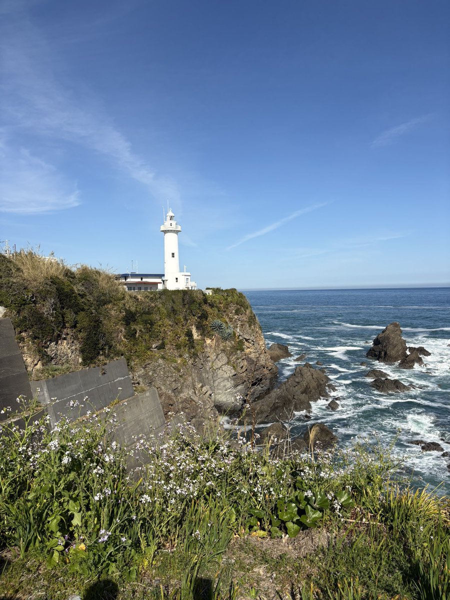 ジャムスタンマジック tweet media