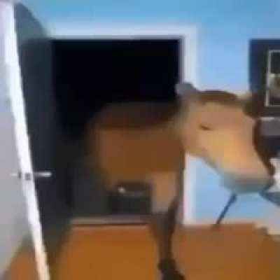 𝔖𝔨𝔢𝔩𝔩𝔶 tweet media