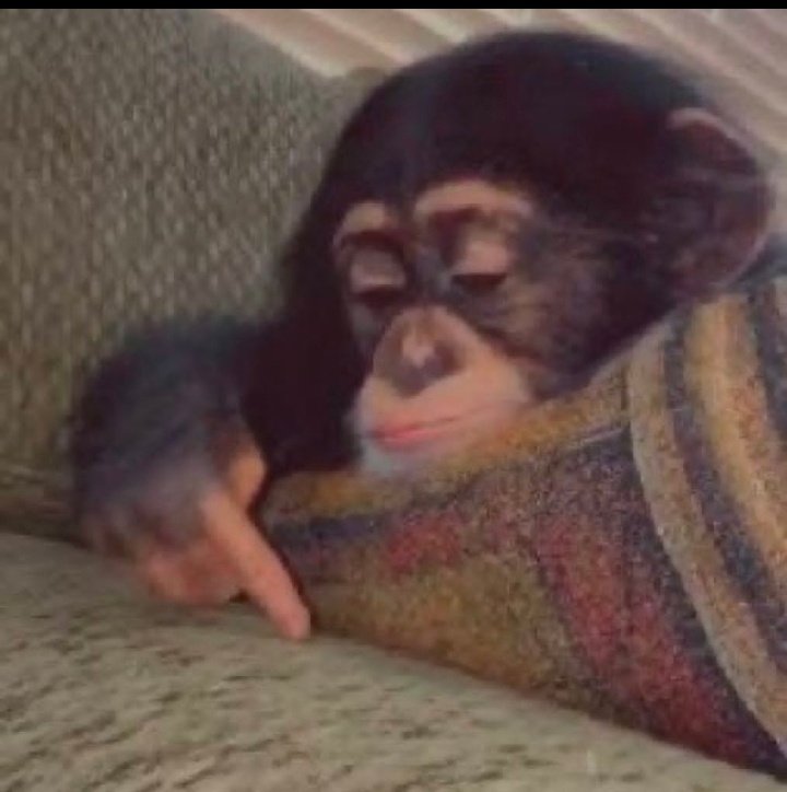 Robotero tweet media