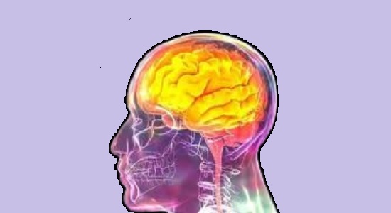 Descorides tweet media