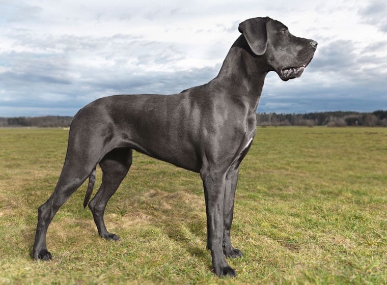 Dr. Hauke Ballasus tweet media