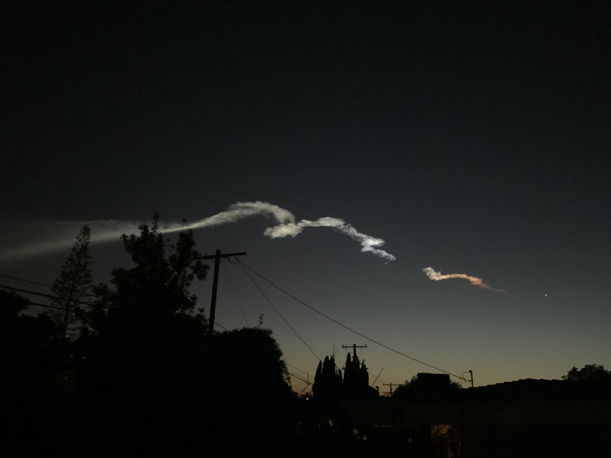 Artist in Los Angeles. tweet media