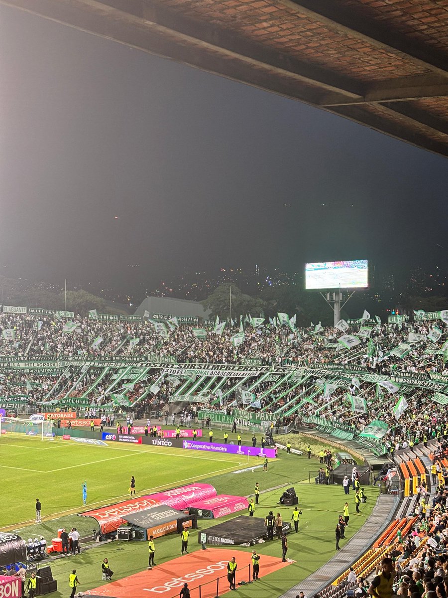 Alex' Parra M' tweet media