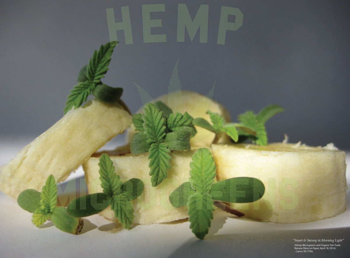 Debunk This™ tweet media