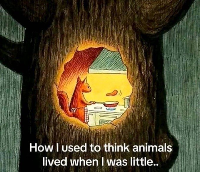 nocontextmemes's tweet photo. https://t.co/2O2DNG1Kvf