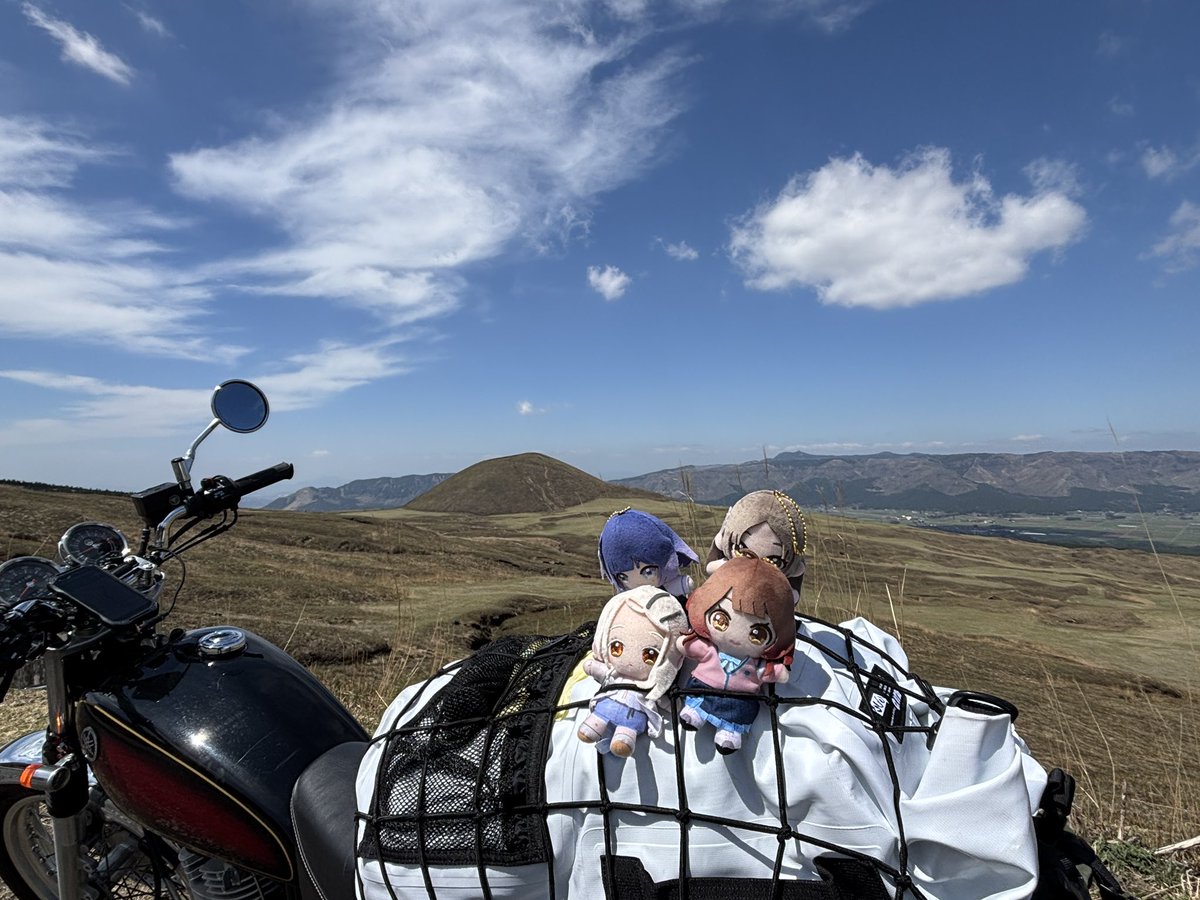 イイヌマ tweet media