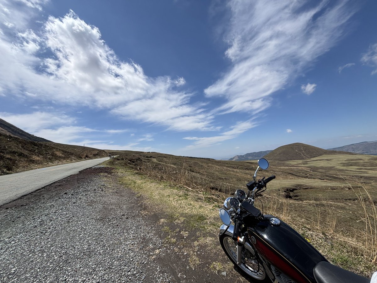 イイヌマ tweet media