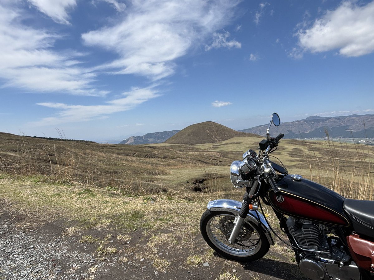 イイヌマ tweet media