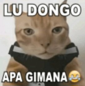 aKAri 26 #BantaiUTBK tweet media