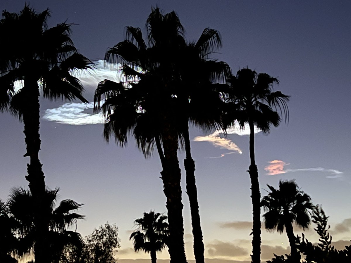 Action 💬 tweet media