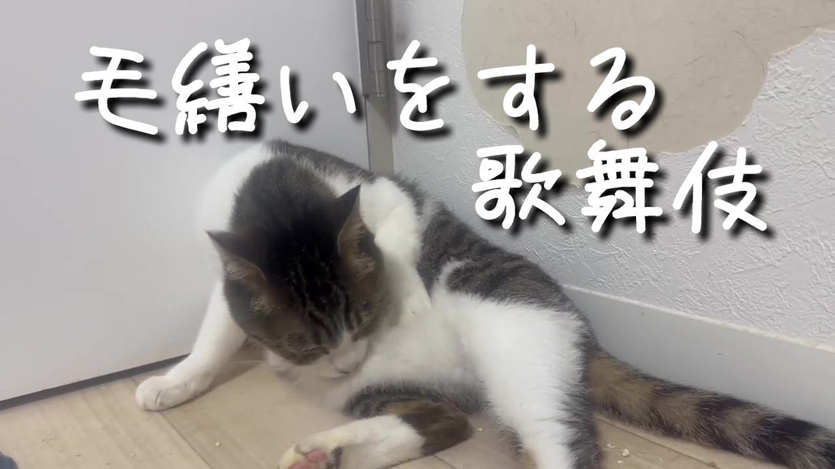 カルマ tweet media