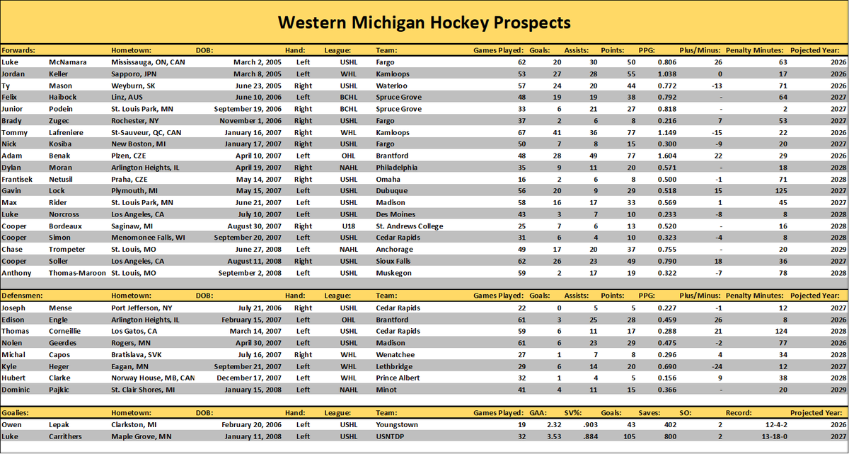 WMU Hockey Future tweet media