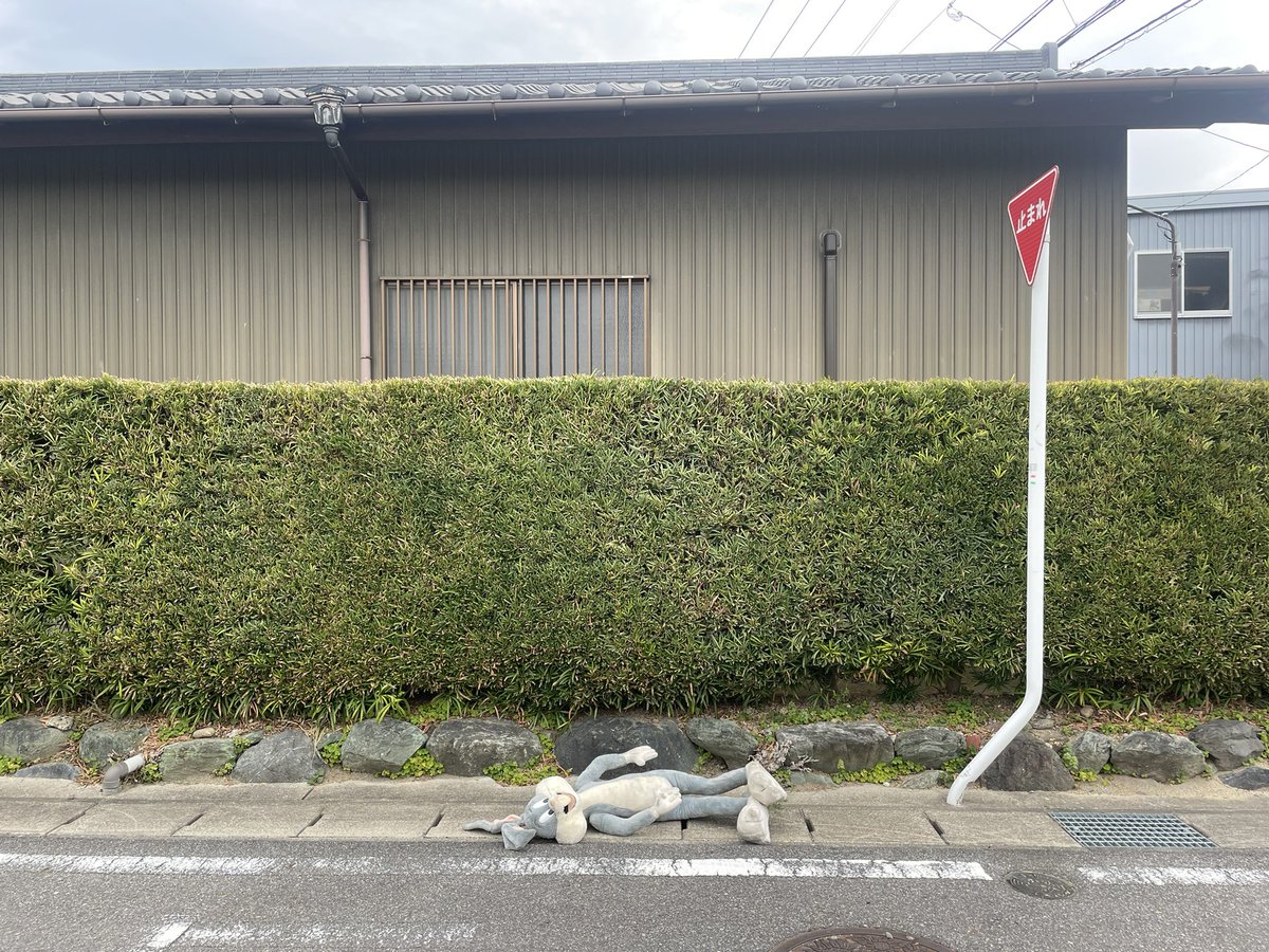 soide55's tweet photo. 4/4 7:08
4/4 17:28
4/6 6:53
4/7 11:22 https://t.co/BOZrPYm237
